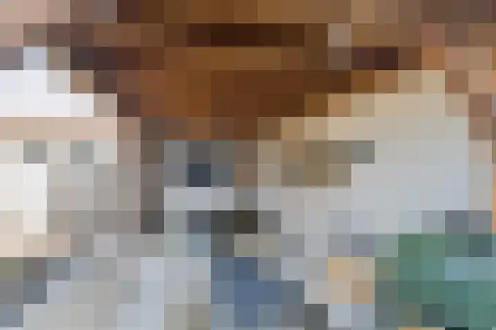Smitsweide 46 Doesburg thumbnail 33