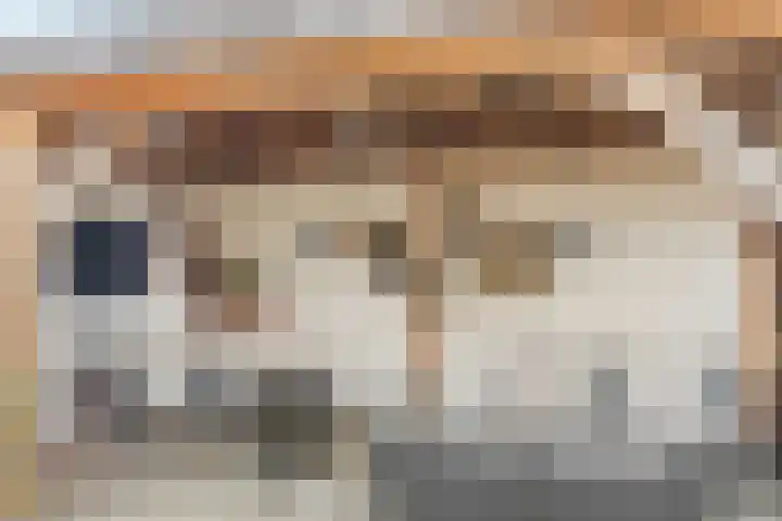 Smitsweide 46 Doesburg thumbnail 34