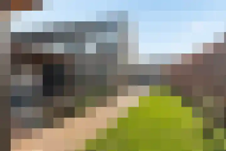 Smitsweide 46 Doesburg thumbnail 35