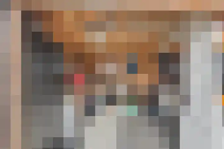 Smitsweide 46 Doesburg thumbnail 36