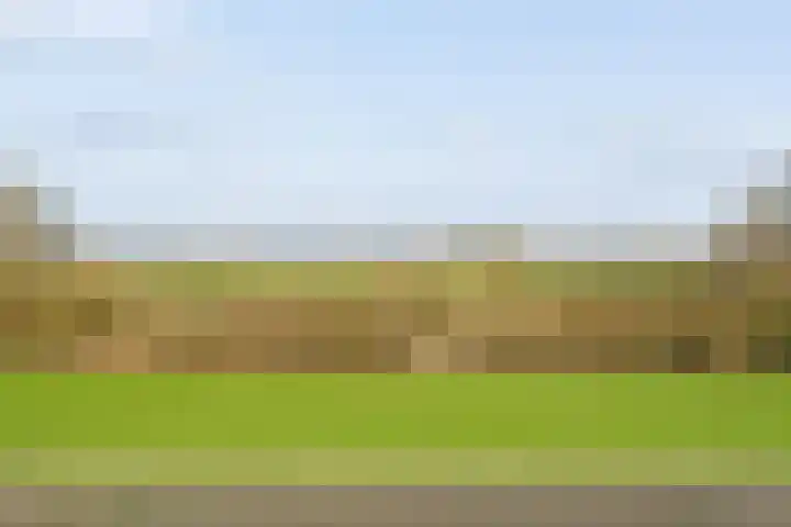 Smitsweide 46 Doesburg thumbnail 38
