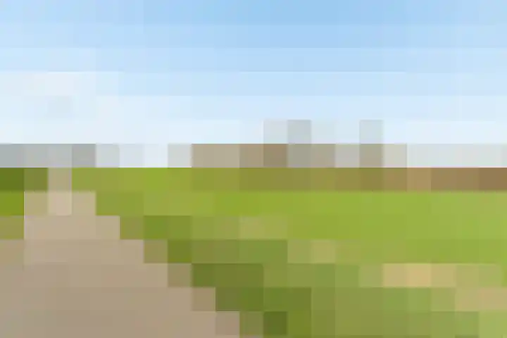 Smitsweide 46 Doesburg thumbnail 39