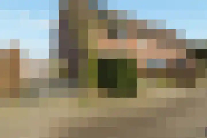 Smitsweide 46 Doesburg thumbnail 4