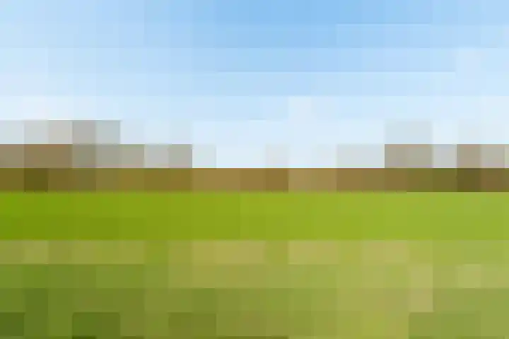 Smitsweide 46 Doesburg thumbnail 40