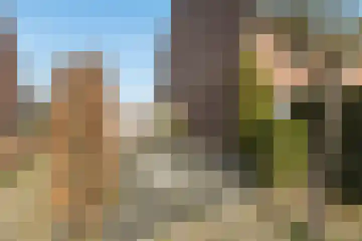 Smitsweide 46 Doesburg thumbnail 41
