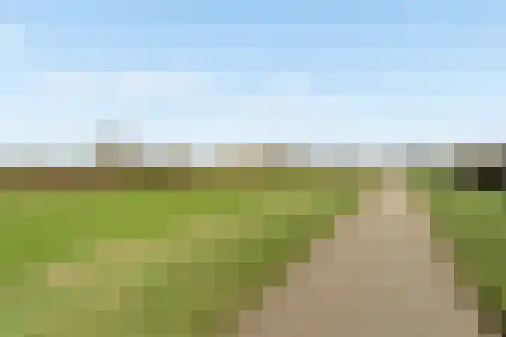 Smitsweide 46 Doesburg thumbnail 43