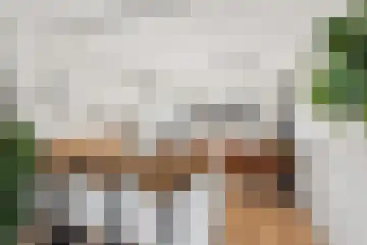 Smitsweide 46 Doesburg thumbnail 7