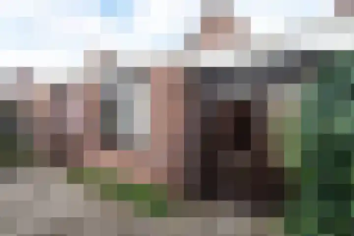 Smittenbelt 11 Rijssen thumbnail 12