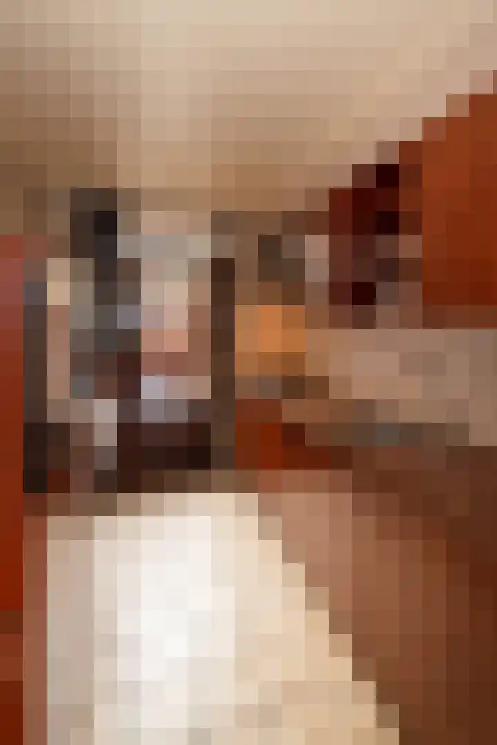 Smittenbelt 11 Rijssen thumbnail 18