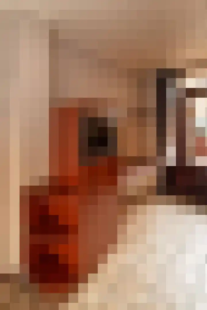 Smittenbelt 11 Rijssen thumbnail 19