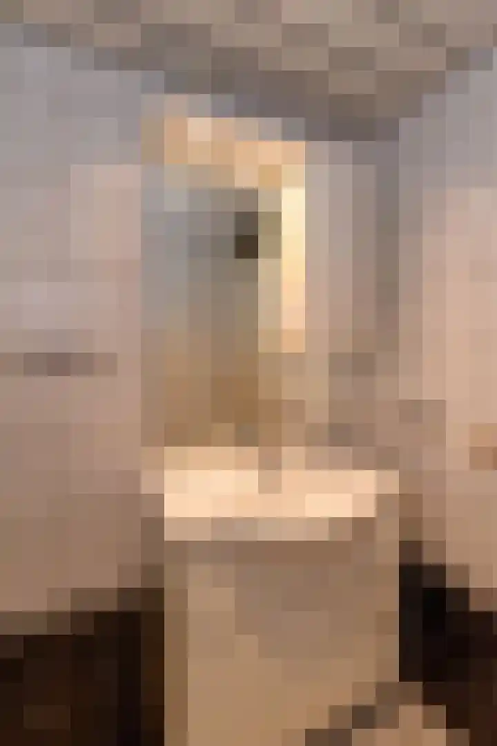 Smittenbelt 11 Rijssen thumbnail 24