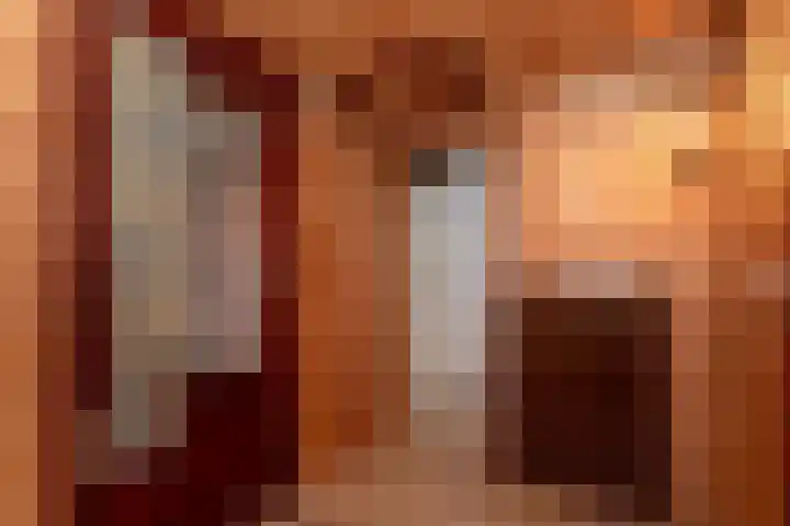Smittenbelt 11 Rijssen thumbnail 29