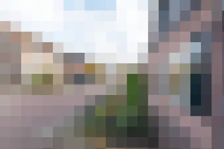 Smittenbelt 11 Rijssen thumbnail 5