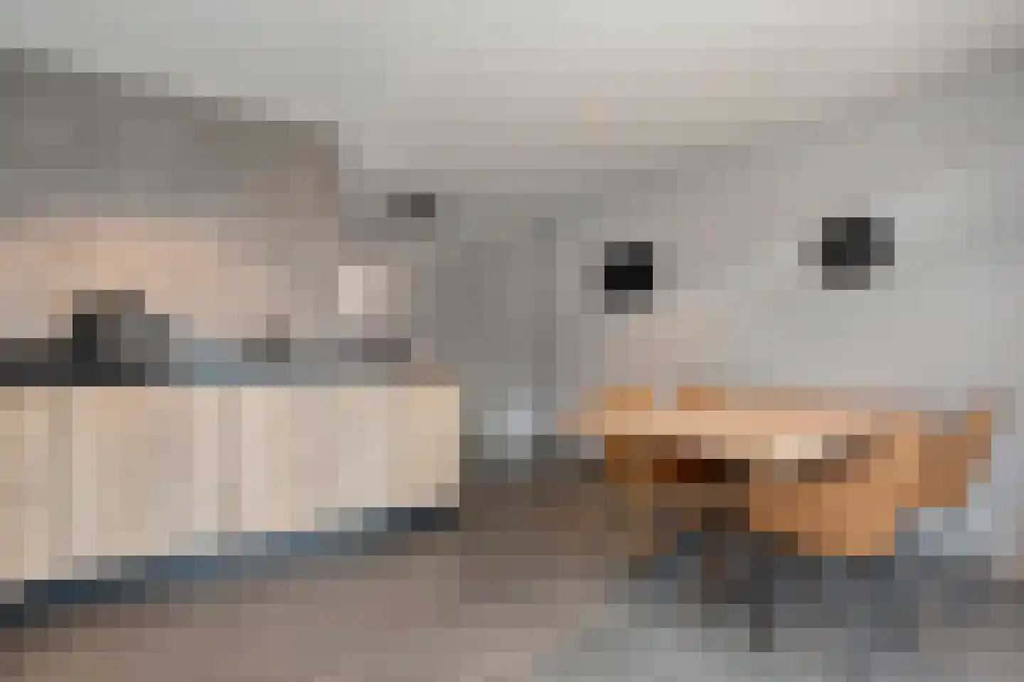 Smittenbelt 17 Rijssen thumbnail 23