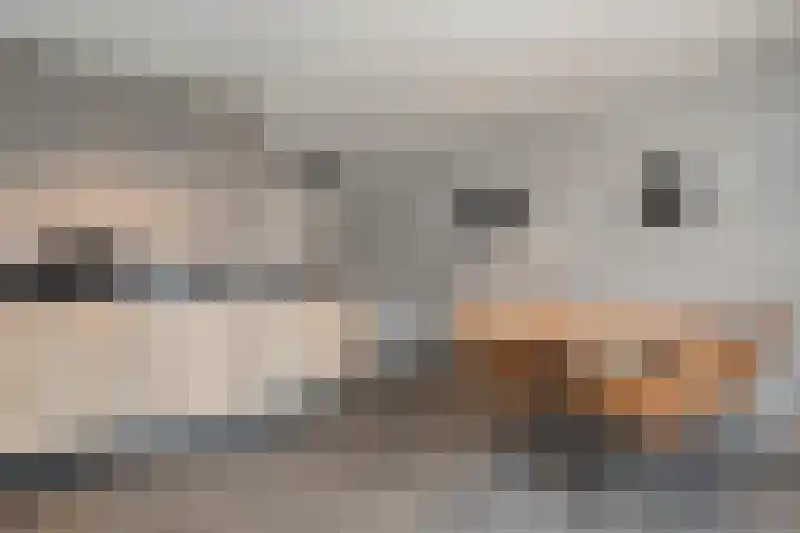 Smittenbelt 17 Rijssen thumbnail 23
