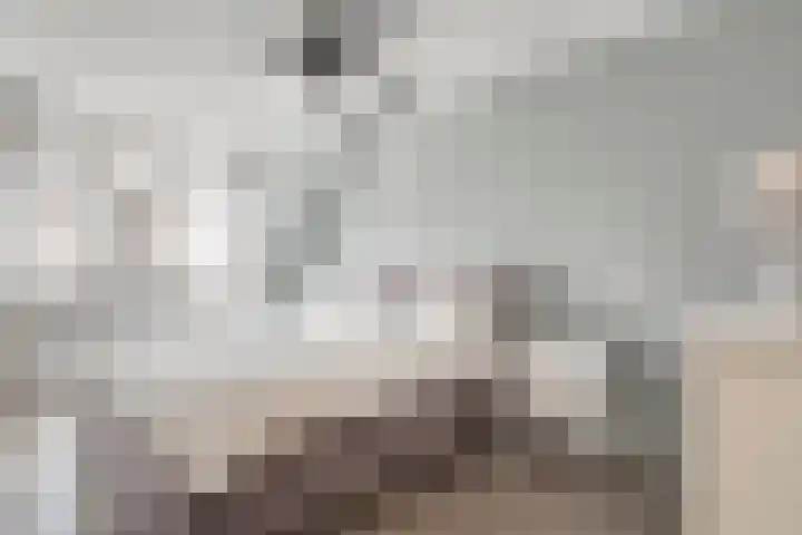Smittenbelt 17 Rijssen thumbnail 28