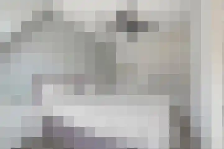 Smittenbelt 17 Rijssen thumbnail 30