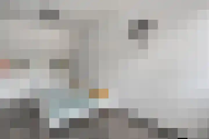 Smittenbelt 17 Rijssen thumbnail 34