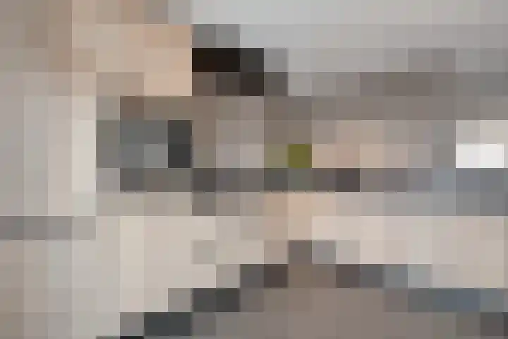 Smittenbelt 17 Rijssen thumbnail 4