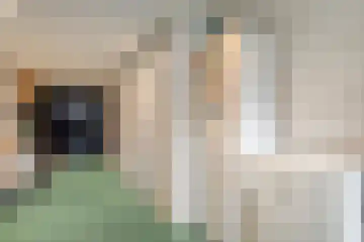Smittenbelt 17 Rijssen thumbnail 44