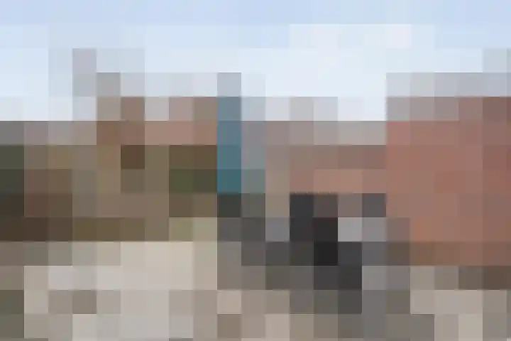 Smittenbelt 17 Rijssen thumbnail 45