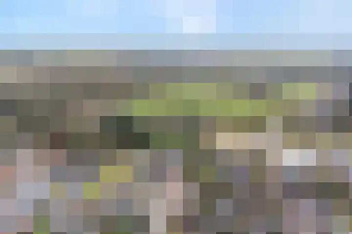 Smittenbelt 17 Rijssen thumbnail 6