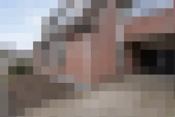 Smittenbelt 17 Rijssen thumbnail 9
