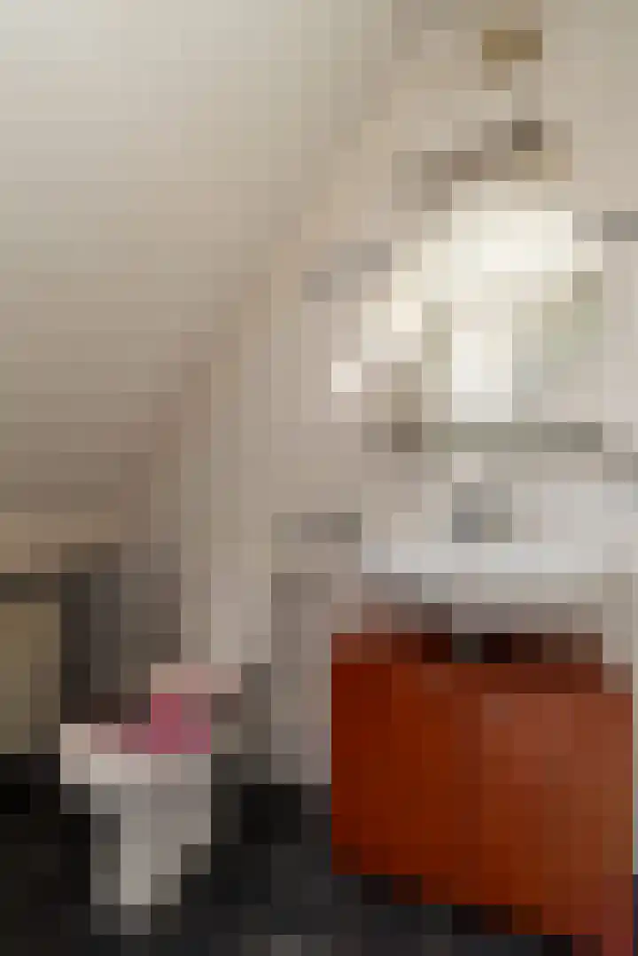 Smittenbelt 3 Rijssen thumbnail 27