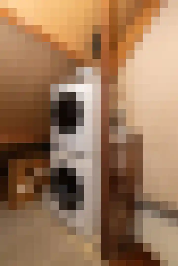 Smittenbelt 3 Rijssen thumbnail 28