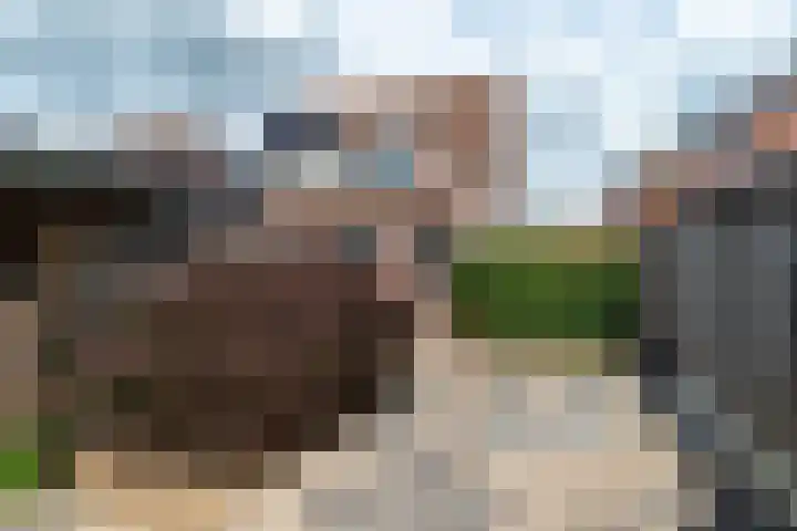 Smittenbelt 3 Rijssen thumbnail 30