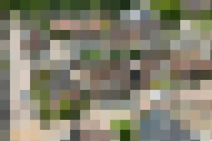 Smittenbelt 3 Rijssen thumbnail 5