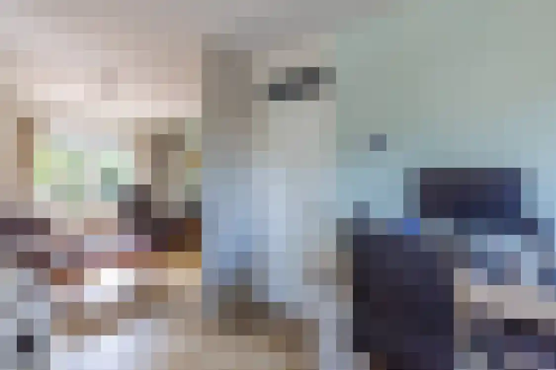 Smitteweg 4 Ballum thumbnail 10