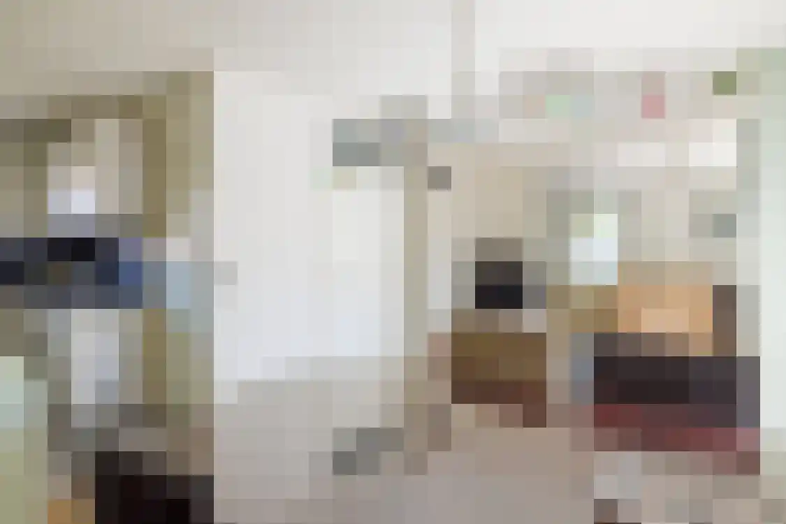 Smitteweg 4 Ballum thumbnail 14