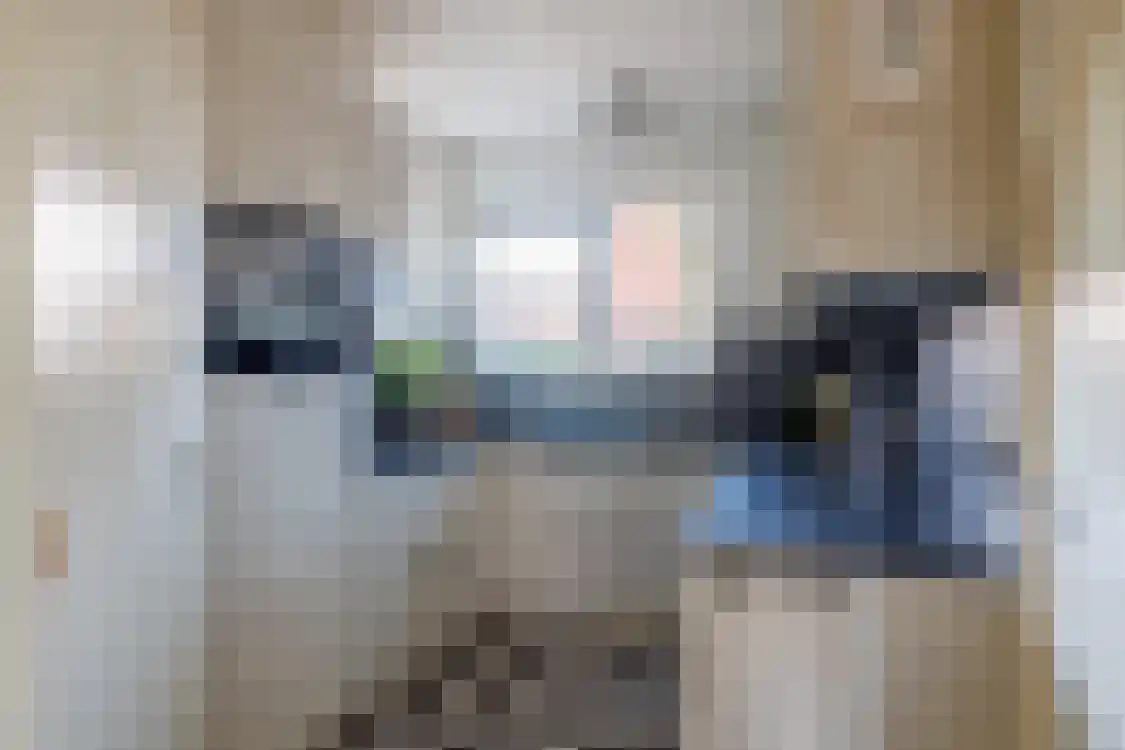 Smitteweg 4 Ballum thumbnail 15