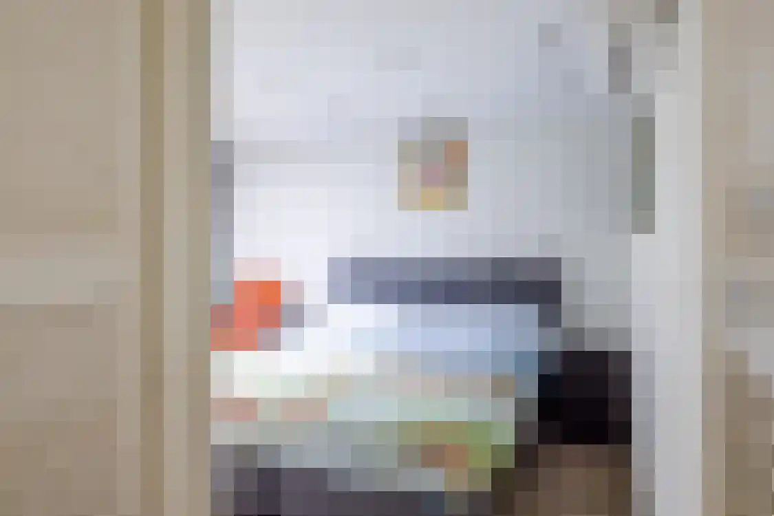 Smitteweg 4 Ballum thumbnail 18