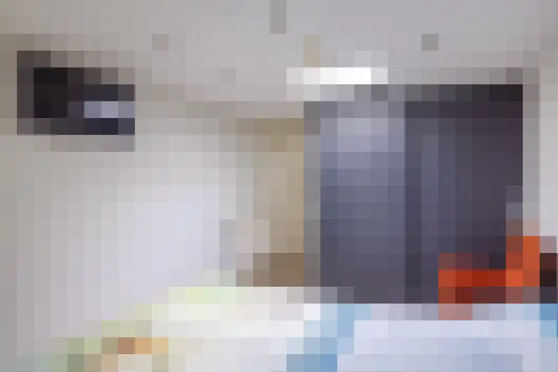 Smitteweg 4 Ballum thumbnail 19