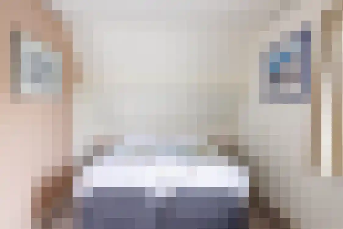 Smitteweg 4 Ballum thumbnail 30
