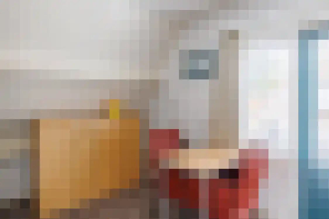 Smitteweg 4 Ballum thumbnail 38