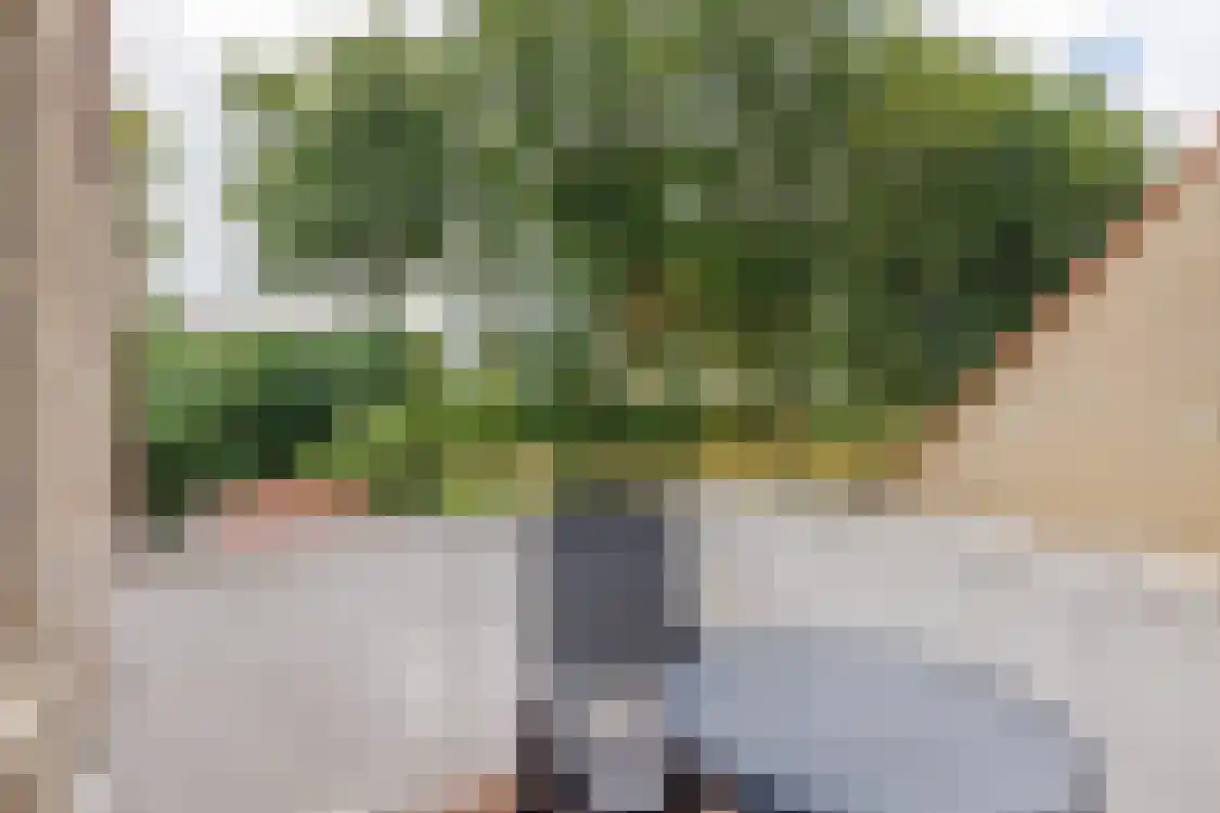 Smitteweg 4 Ballum thumbnail 41