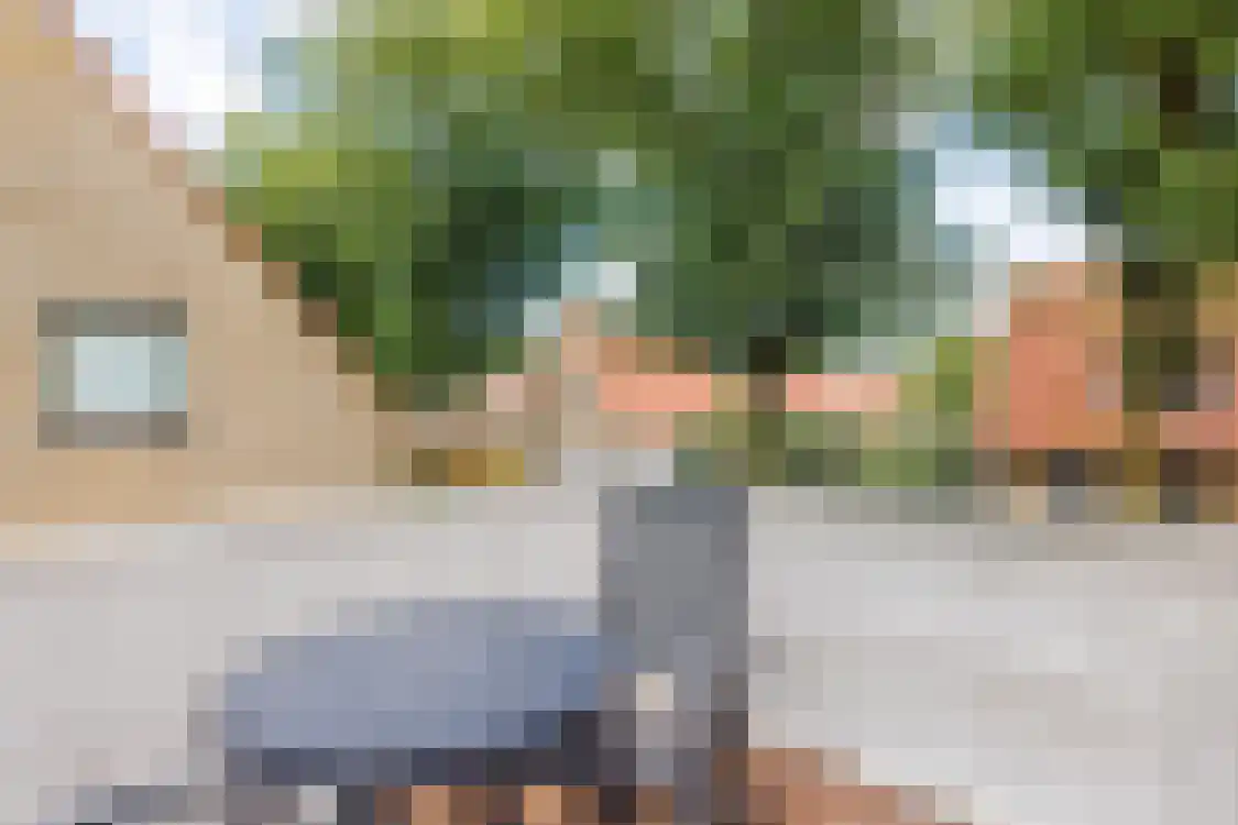 Smitteweg 4 Ballum thumbnail 42