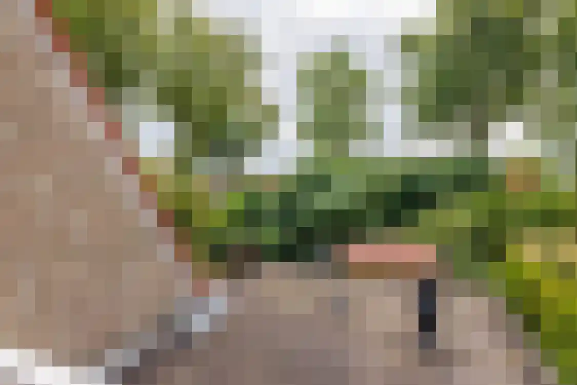 Smitteweg 4 Ballum thumbnail 43