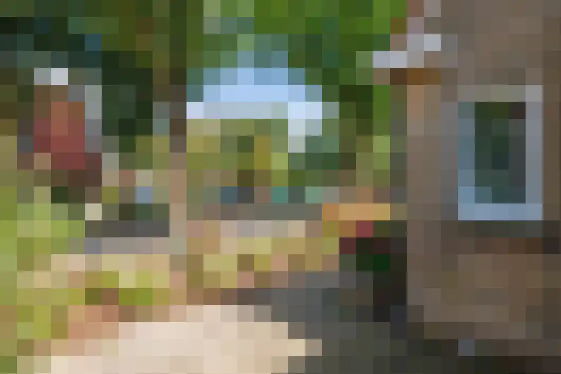 Smitteweg 4 Ballum thumbnail 54