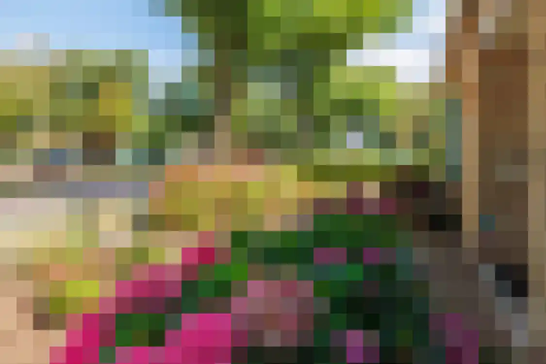 Smitteweg 4 Ballum thumbnail 56