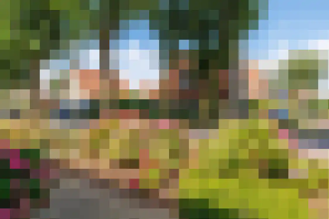 Smitteweg 4 Ballum thumbnail 59