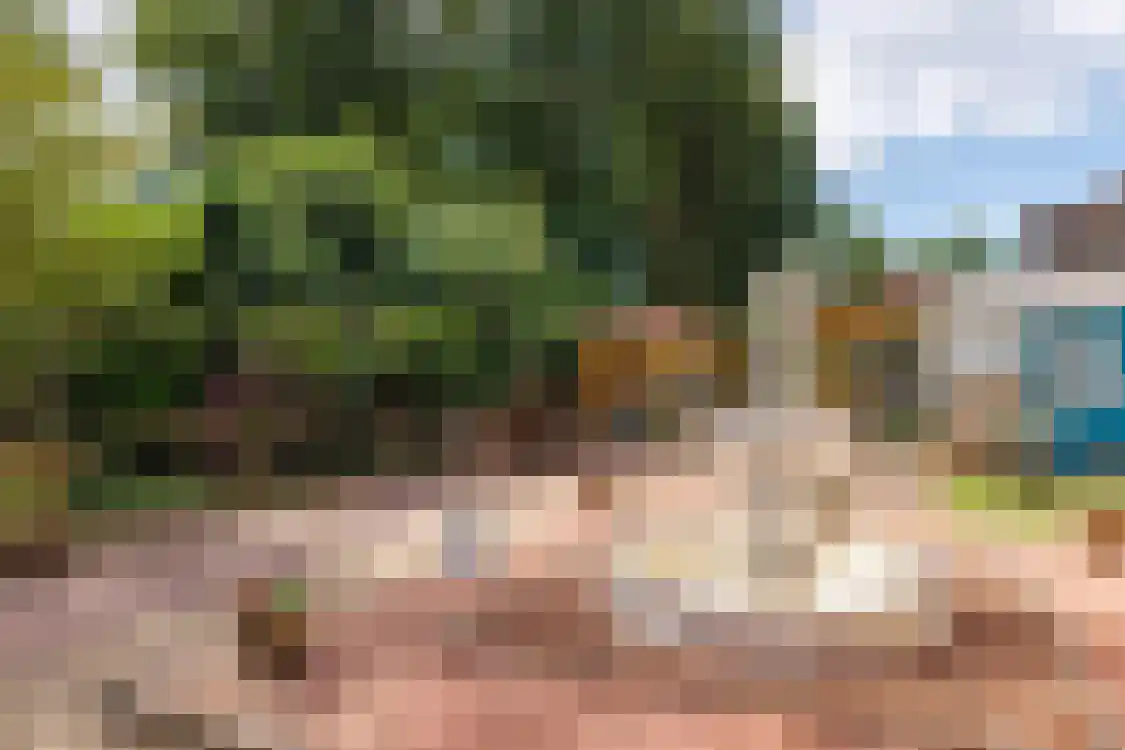 Smitteweg 4 Ballum thumbnail 69