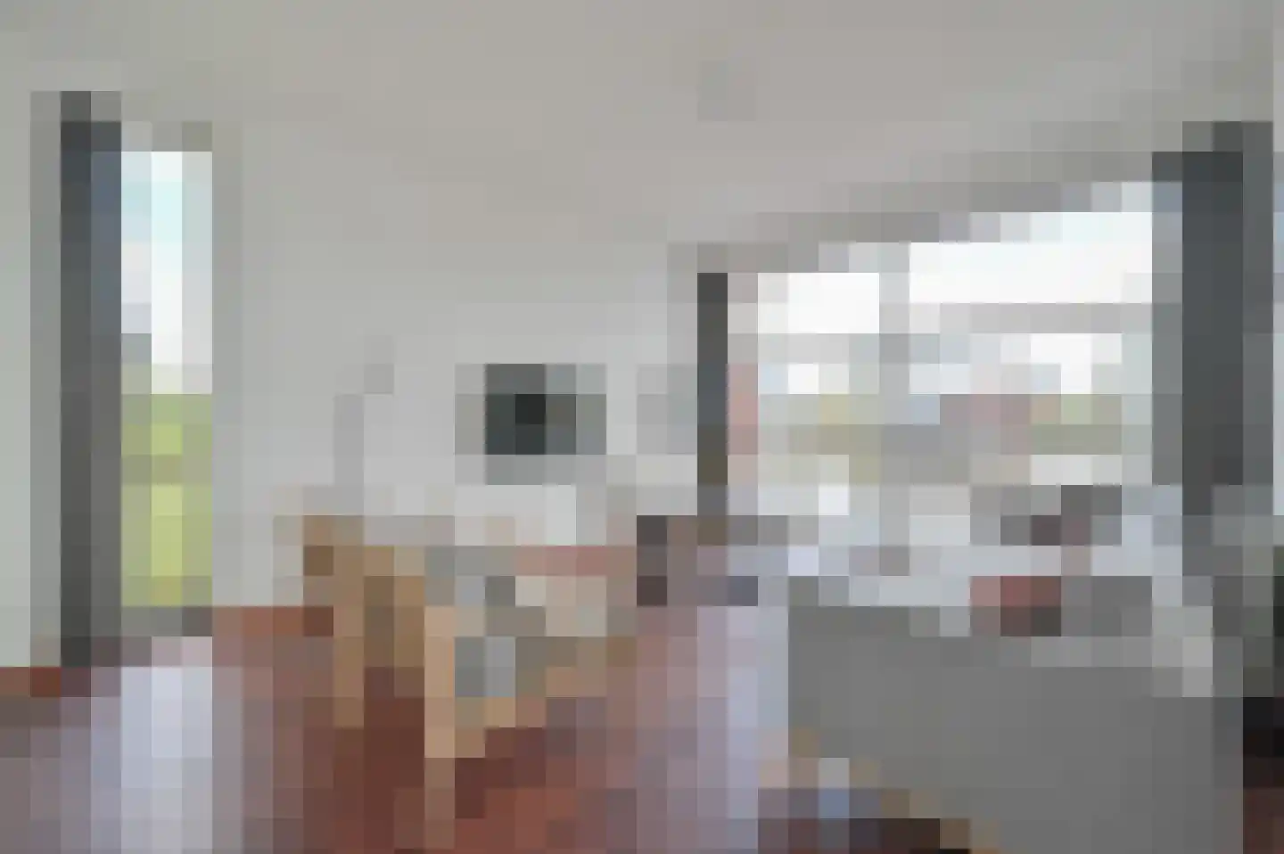 Smokkelaarshoeke 26 526 Eanjum thumbnail 4