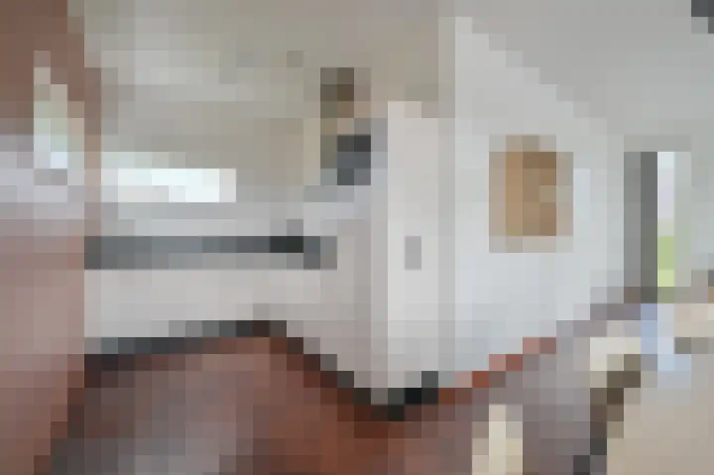 Smokkelaarshoeke 26 526 Eanjum thumbnail 7
