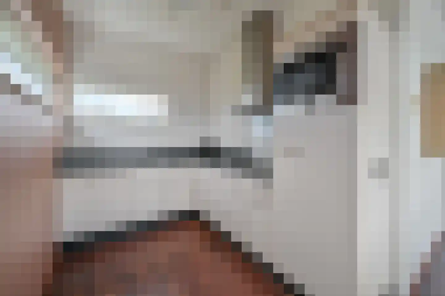 Smokkelaarshoeke 26 526 Eanjum thumbnail 8