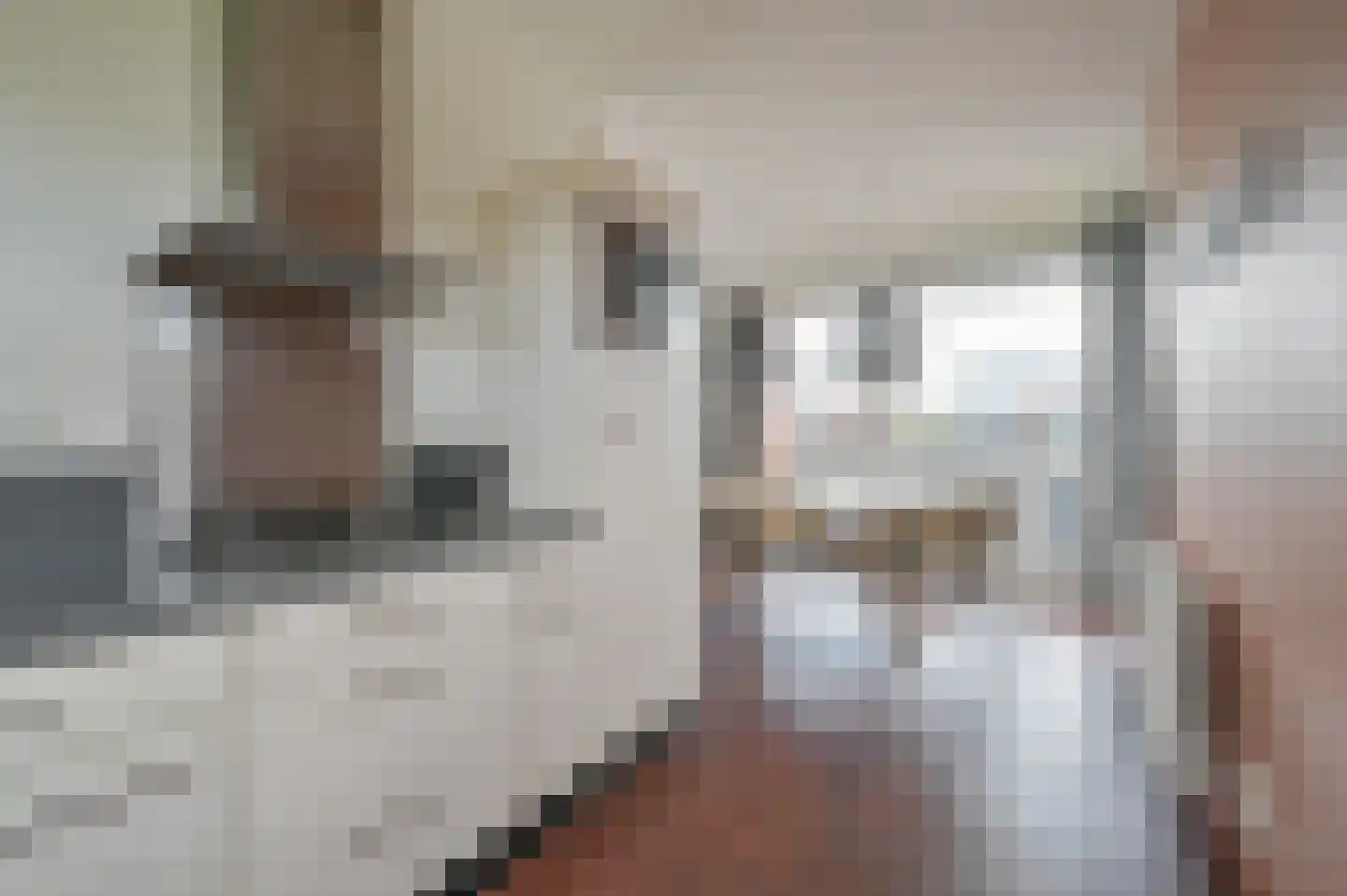 Smokkelaarshoeke 26 526 Eanjum thumbnail 9