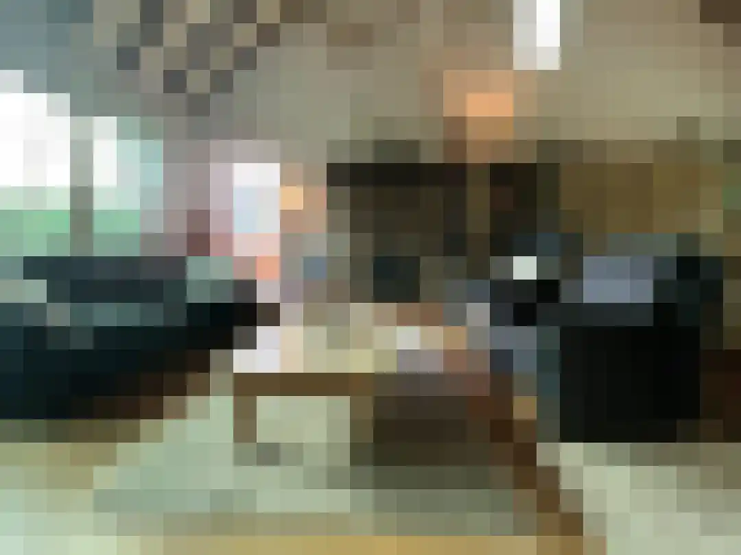 Smokkelweg 1 IJzendijke thumbnail 10